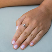 Anchor Ring