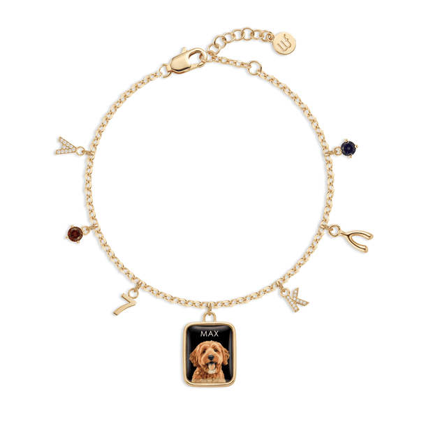 Mini charm bracelet cycling through charm designs: initials, birth months, symbols, a pet portrait and a locket, in gold and silver