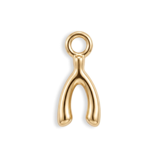 Mini Wishbone Charm — image 1 of 2